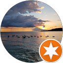 Nancy S profile picture